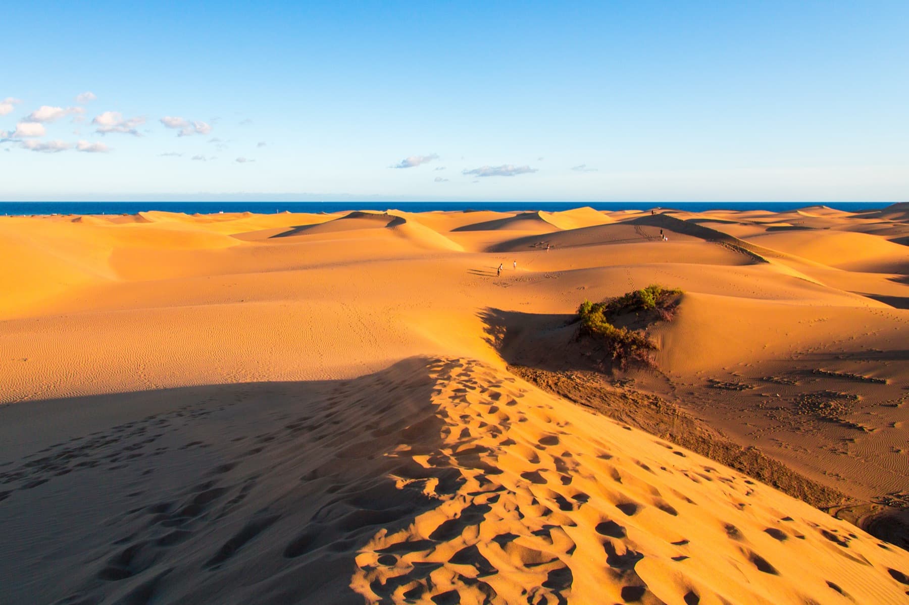 Golden sand dunes under a blue sky